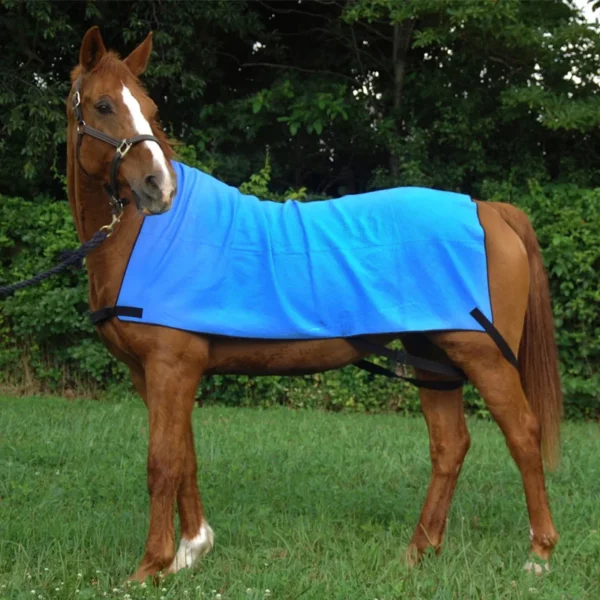Hest med Instant Cooling Equine Body Wrap.