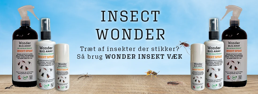 Insect Wonder
