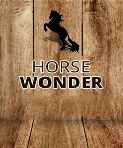 Horse-Wonder