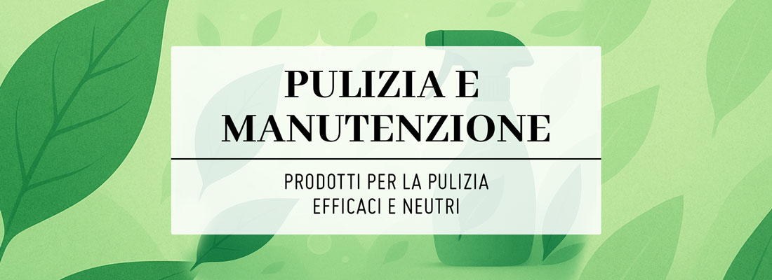 cleaning wonder section banner it 1